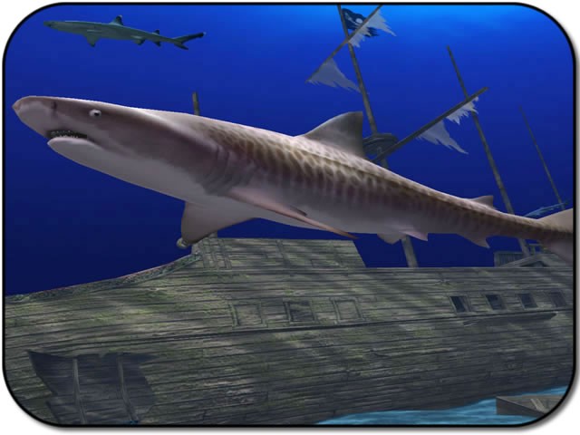 海底鲨鱼3D屏保(Sharkvisions) 2.5