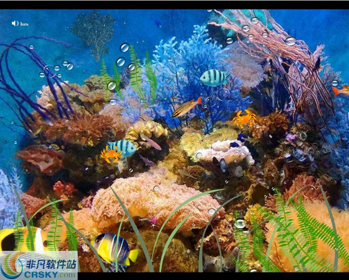 屏保(水下世界) v1.6