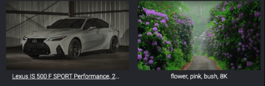 【诺亚方舟】8K壁纸下载器 v1.3