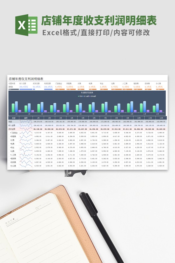 店铺年度收支利润明细表模板 v3.89