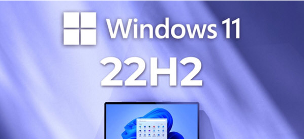 Windows11 22H2 v224
