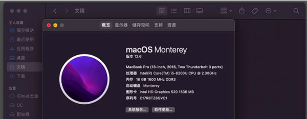 瑞昱黑苹果无线网卡驱动 v2.4.5