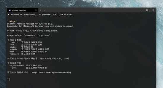 WinGet包管理工具 v1.4.10175