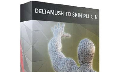 DeltaMushtoSkin v1.1