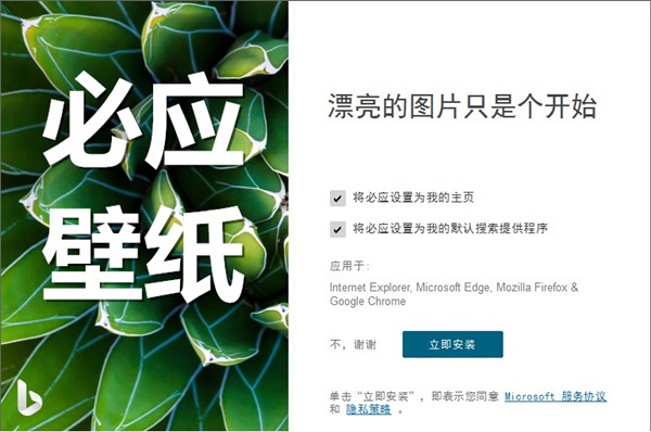 必应壁纸 v2.5