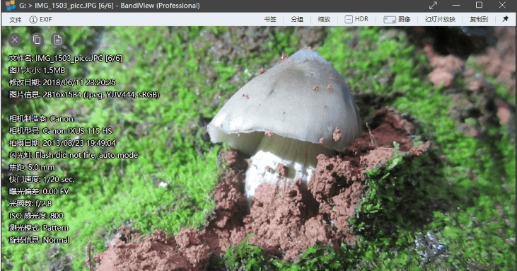 BandiView图片浏览 v7.04