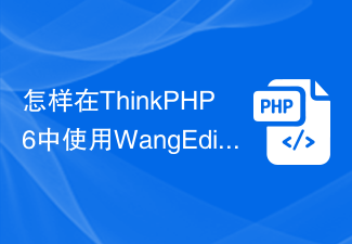 怎样在ThinkPHP6中使用WangEditor富文本编辑器？