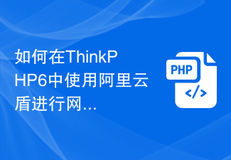 如何在ThinkPHP6中使用阿里云盾进行网站安全保护？