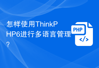 怎样使用ThinkPHP6进行多语言管理？