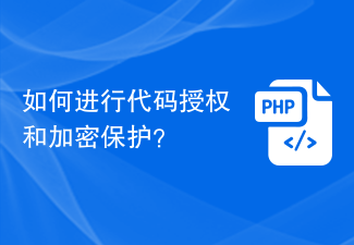 如何进行代码授权和加密保护？