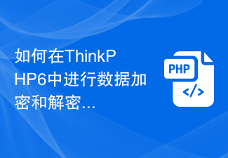 如何在ThinkPHP6中进行数据加密和解密操作？