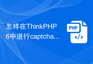 怎样在ThinkPHP6中进行captcha图形验证码操作？