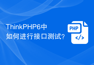 ThinkPHP6中如何进行接口测试？