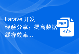 Laravel开发经验分享：提高数据缓存效率的技巧