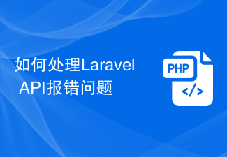 如何处理Laravel API报错问题