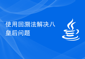 使用回溯法解决八皇后问题