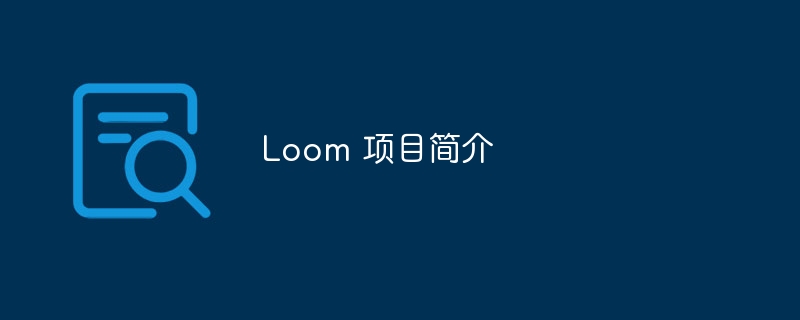 Loom 项目简介