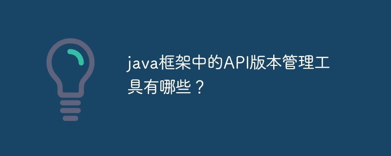 java框架中的API版本管理工具有哪些？