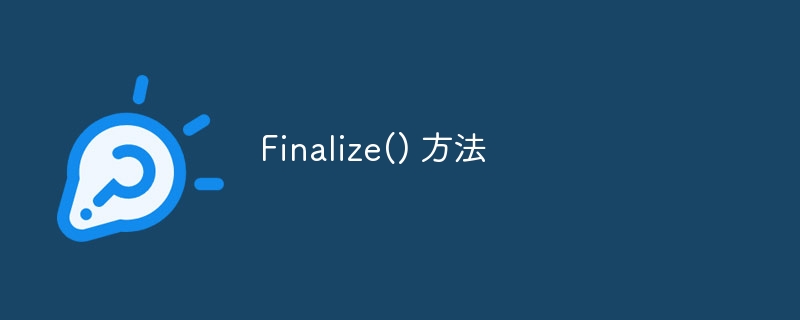 Finalize() 方法