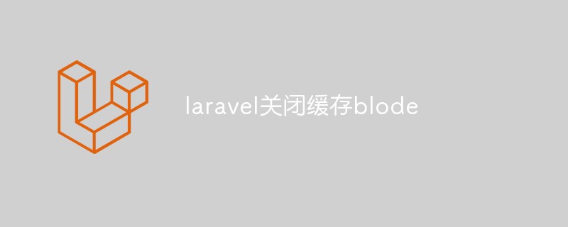 laravel关闭缓存blode