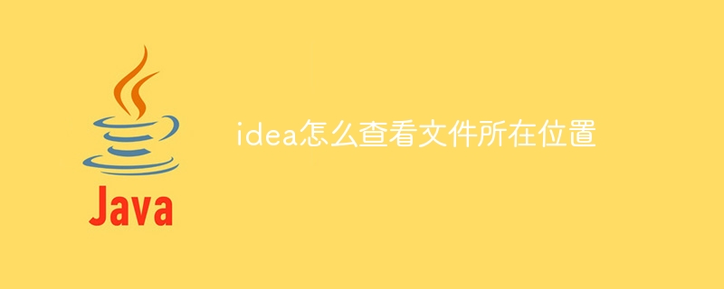 idea怎么查看文件所在位置