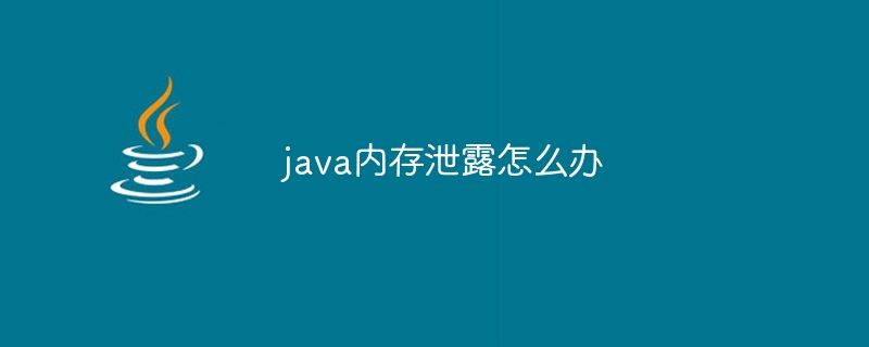 java内存泄露怎么办