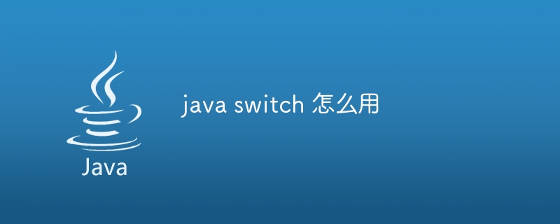 java switch 怎么用