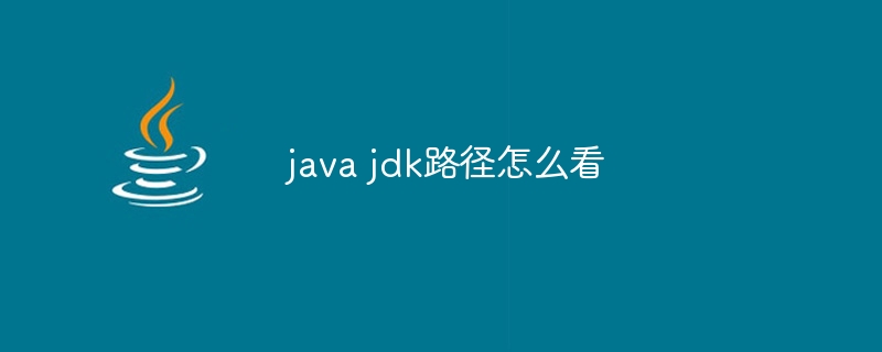 java jdk路径怎么看