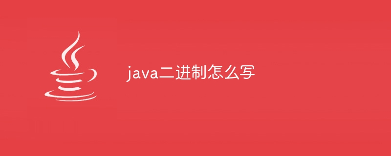 java二进制怎么写