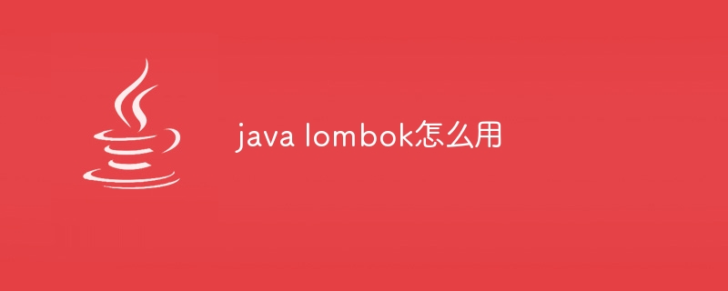 java lombok怎么用