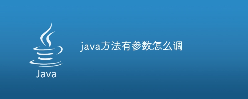 java方法有参数怎么调