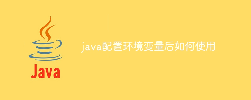 java配置环境变量后如何使用