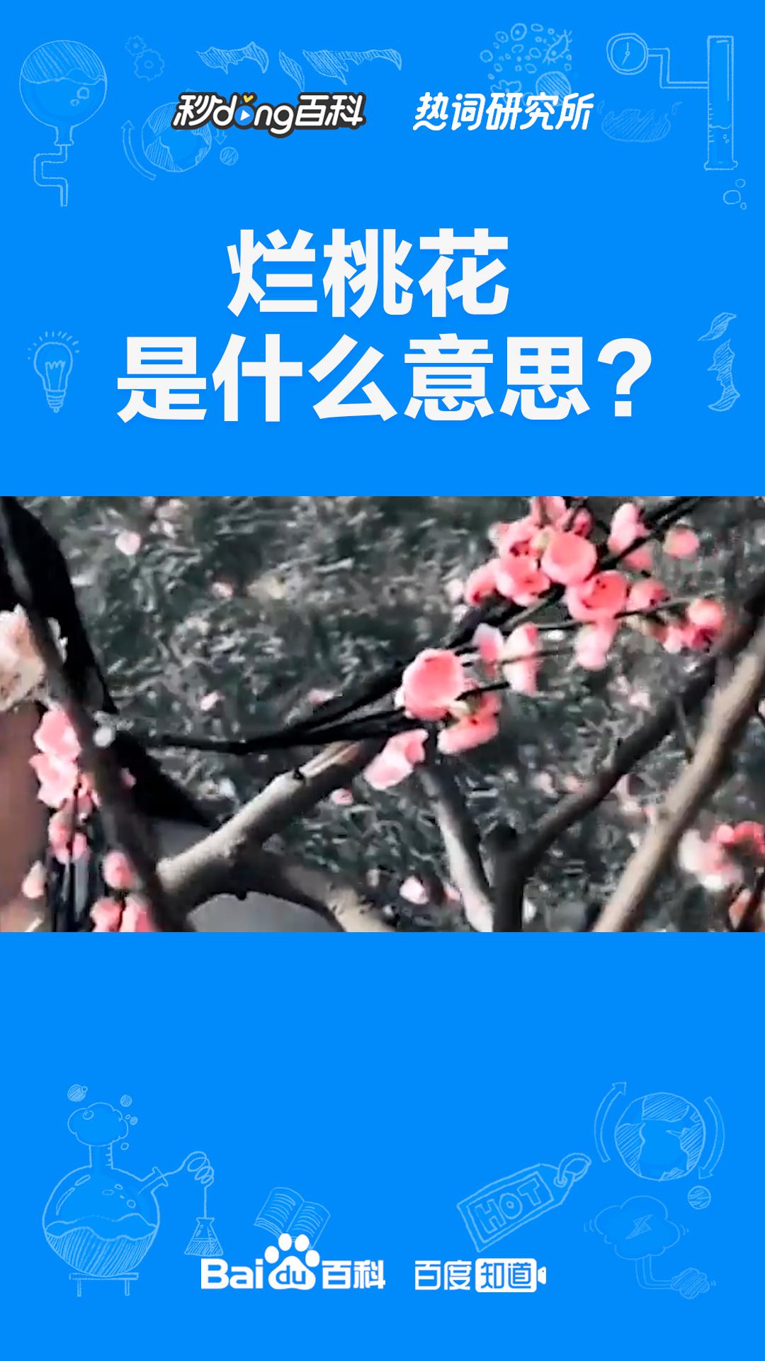 算命烂桃花是什么意思